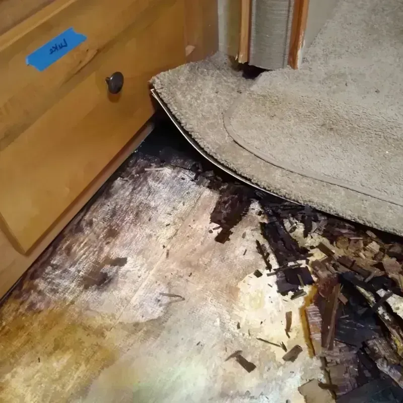 Wood Floor Water Damage in Valley Springs, CA